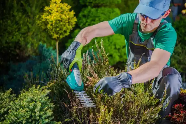 landscaping services Tuxedo Park